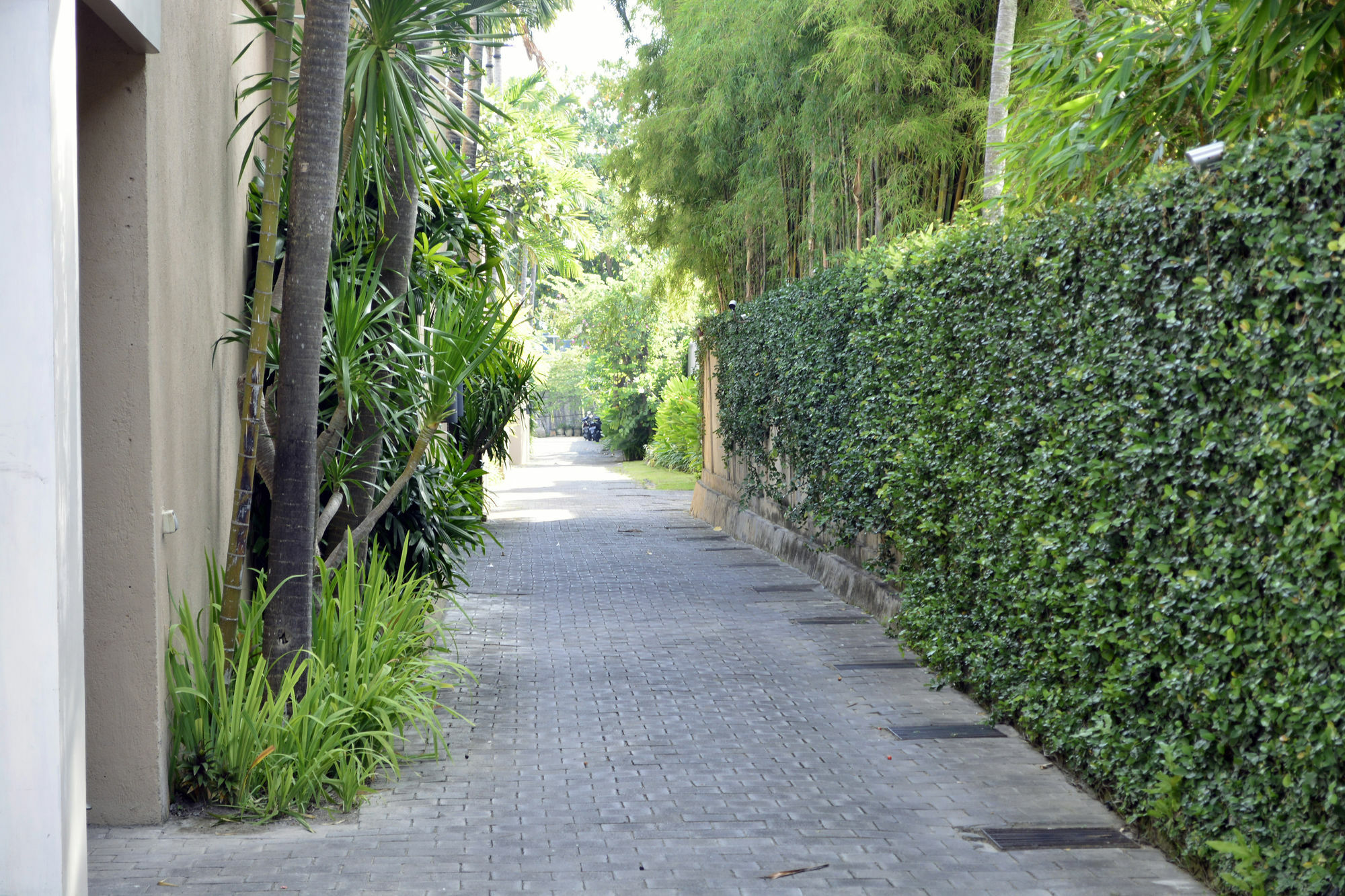 Sienna Villas - Chse Certified Seminyak  Exterior photo